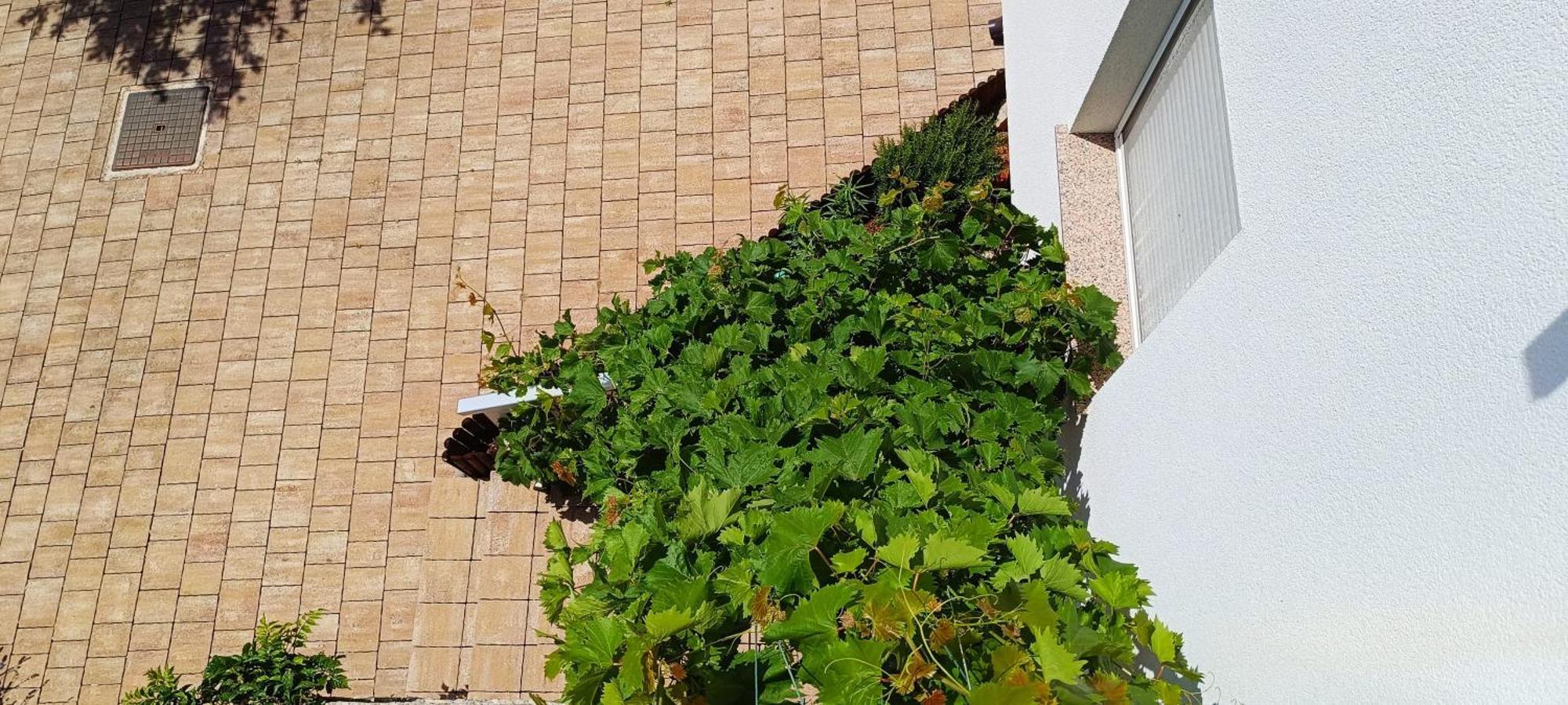 Apartmani Verde Zadar Ngoại thất bức ảnh